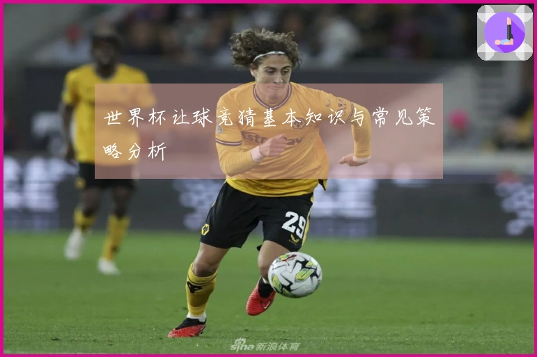 世界杯让球竞猜基本知识与常见策略分析