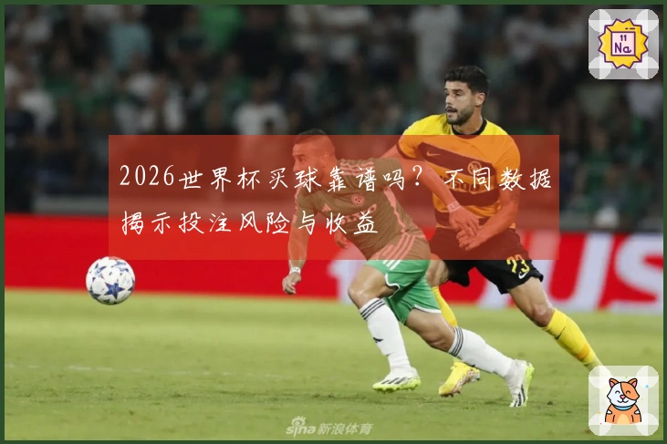 2026世界杯买球靠谱吗？不同数据揭示投注风险与收益