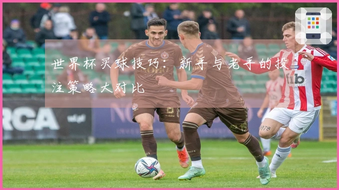 世界杯买球技巧：新手与老手的投注策略大对比