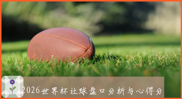 2026世界杯让球盘口分析与心得分享