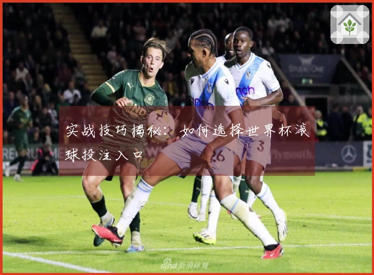 实战技巧揭秘：如何选择世界杯滚球投注入口