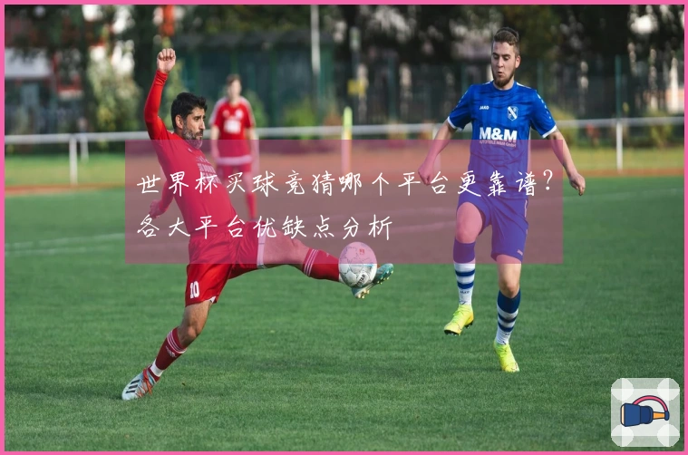 世界杯买球竞猜哪个平台更靠谱？各大平台优缺点分析