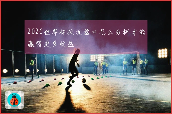 2026世界杯投注盘口怎么分析才能赢得更多收益