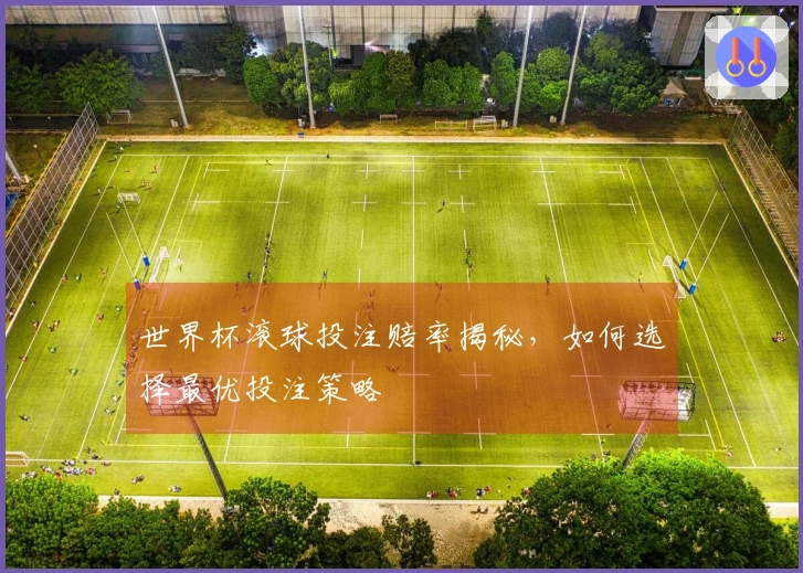世界杯滚球投注赔率揭秘，如何选择最优投注策略
