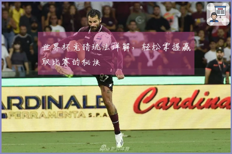 世界杯竞猜玩法详解，轻松掌握赢取比赛的秘诀