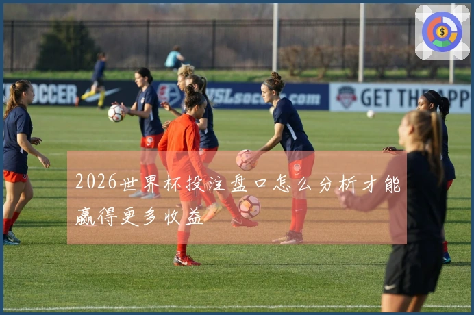2026世界杯投注盘口怎么分析才能赢得更多收益