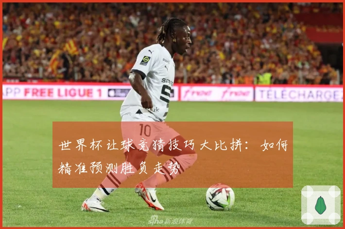 世界杯让球竞猜技巧大比拼:如何精准预测胜负走势