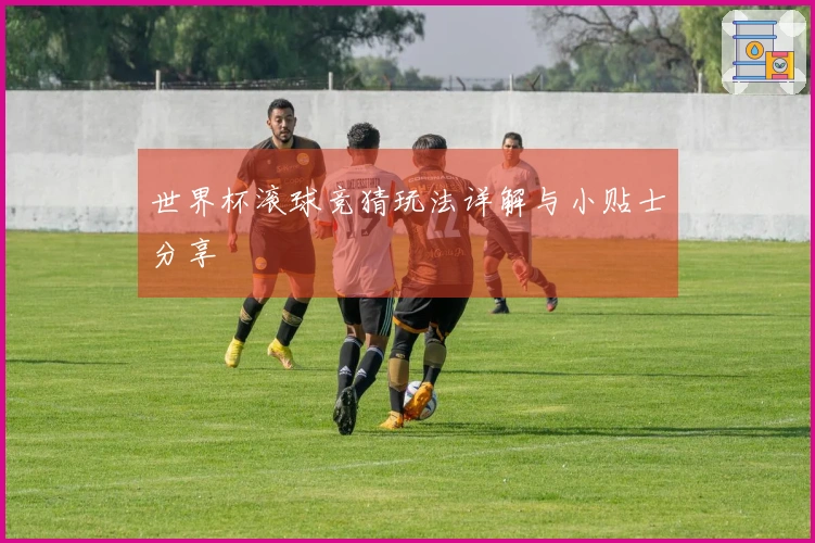世界杯滚球竞猜玩法详解与小贴士分享
