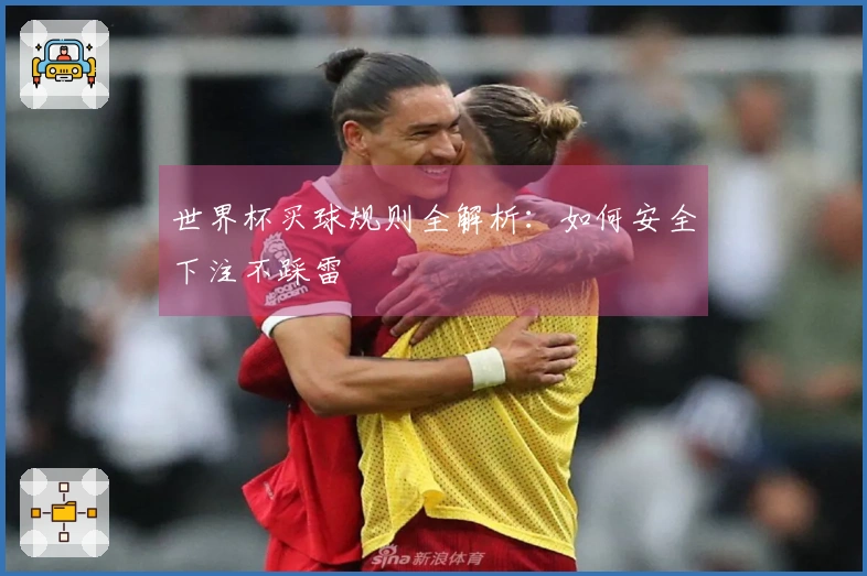 世界杯买球规则全解析：如何安全下注不踩雷
