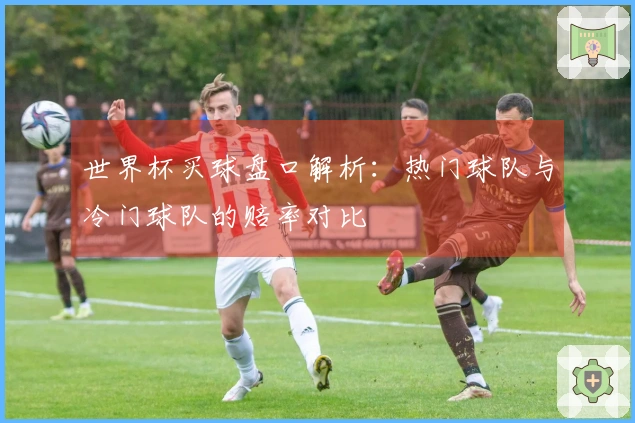世界杯买球盘口解析：热门球队与冷门球队的赔率对比