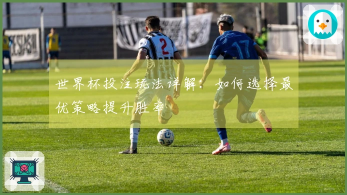 世界杯投注玩法详解：如何选择最优策略提升胜率